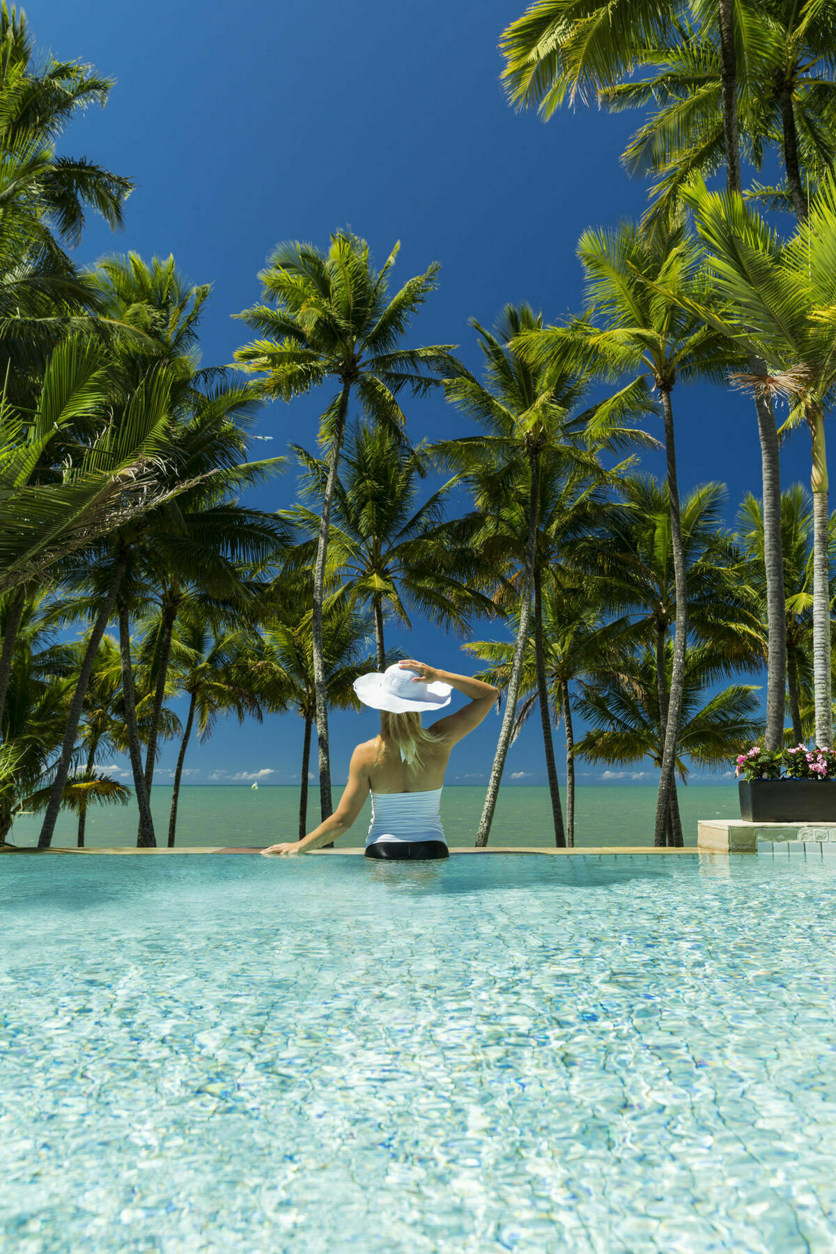 Alamanda Palm Cove By Lancemore Eksteriør bilde