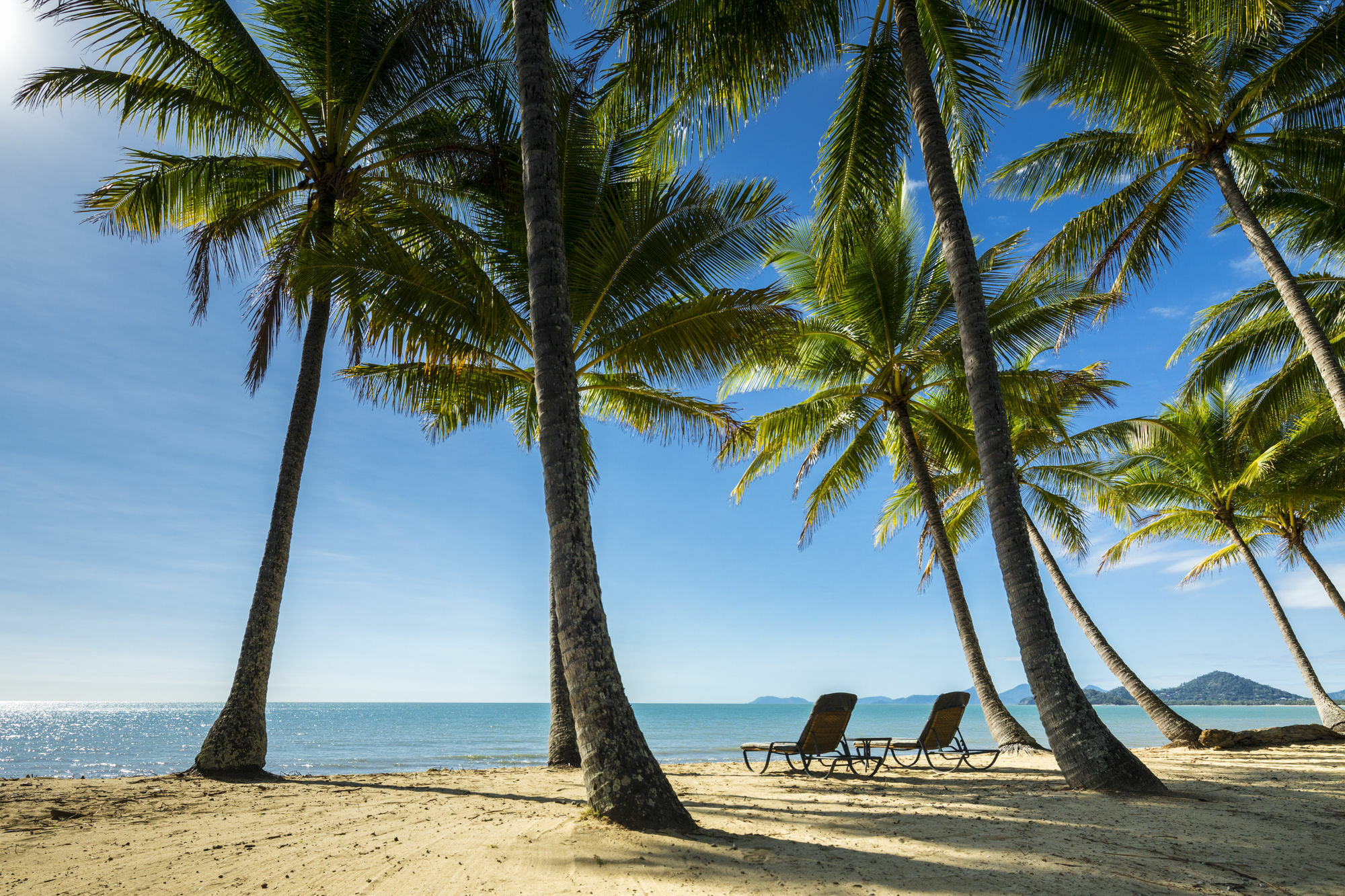 Alamanda Palm Cove By Lancemore Eksteriør bilde